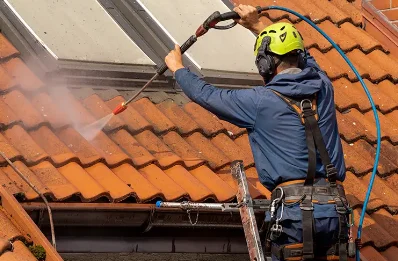 Démoussage et hydrofuge de toiture à Méolans-Revel